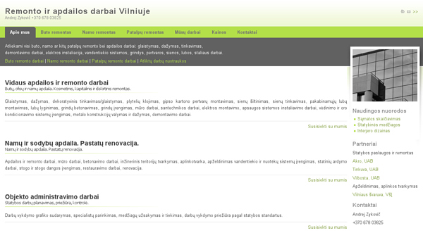 Apdailos darbai Vilniuje