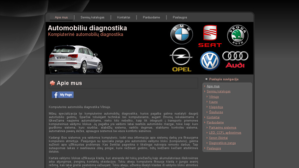Kompiuterine automobiliu diagnostika Vilniuje