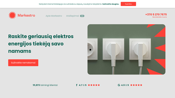Elektros kaina