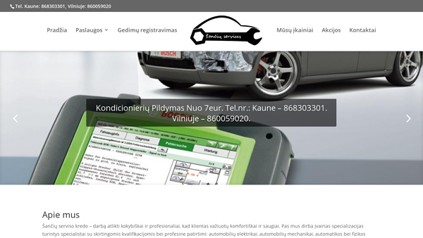 sanciuservisas.com
