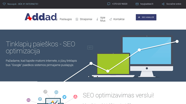 SEO paslaugos verslui