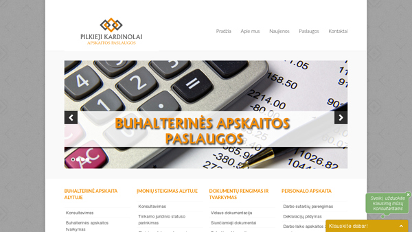 Buhalterinės apskaitos paslaugos Alytuje / Įmonių steigimas Alytuje