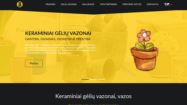 Vazonai ir vazos