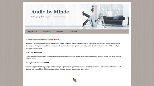 DIY audio schemos elektronika