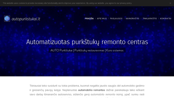 Automobilių kuro sistemos remontas