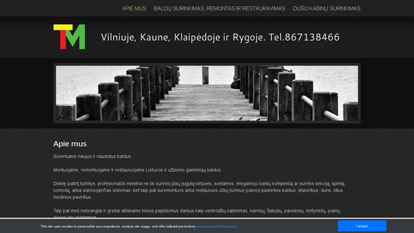 Baldų ir dušo kabinų surinkimas