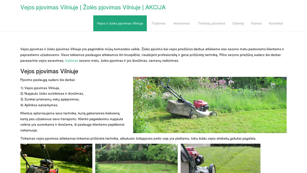Vejos pjovimas Vilniuje - dailiveja.lt