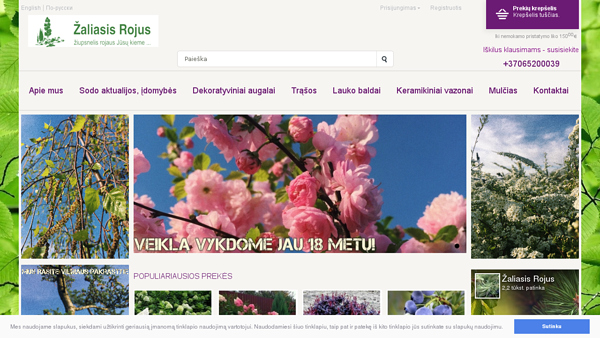 Dekoratyviniai augalai internetu! Pristatymas visoje Lietuvoje