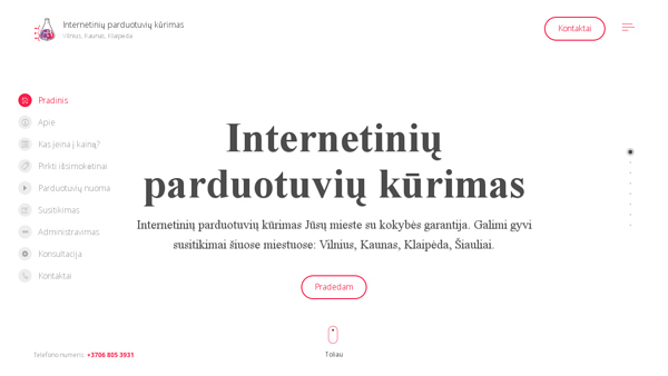 internetinių parduotuvių kūrimas