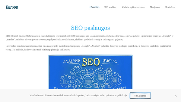 SEO paslaugos