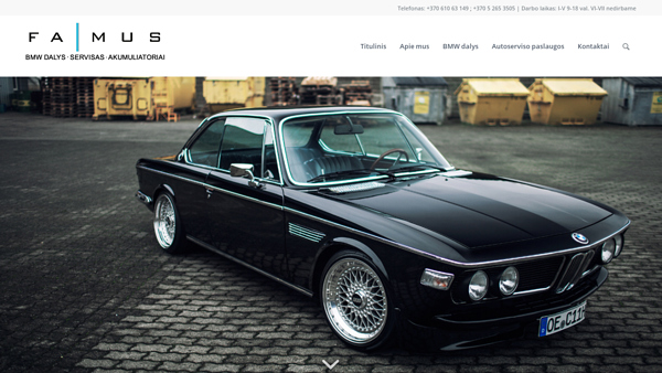 BMW dalys, servisas, akumuliatoriai