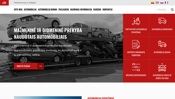 mažmeninė ir didmeninė prekyba naudotais automobiliais