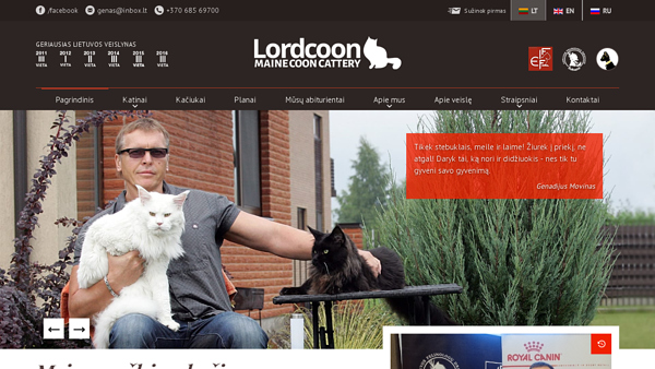 Meino meškėnų kačių veislynas Lordcoon*LT
