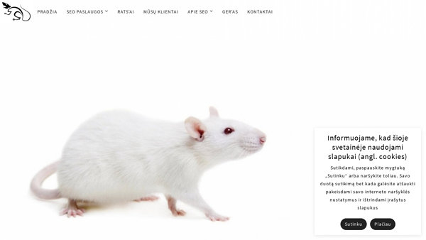 Market Rats