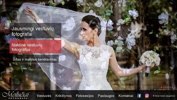 Profesionalūs fotografai Kristina ir Regimantas Meilučiai