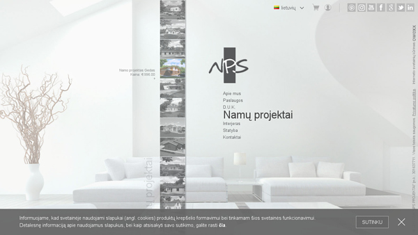 NPS Projektai IĮ
