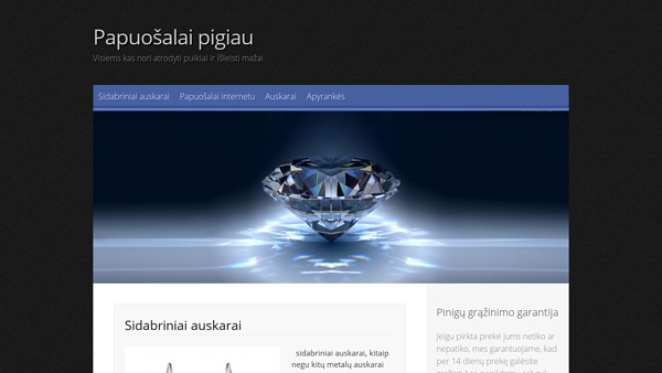 Stilingi papuošalai tik Pigiau!
