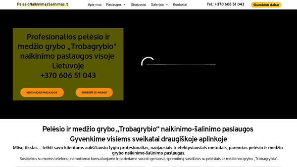 PelesioNaikinimasSalinimas.lt – profesionalus pelėsio naikinimas-šalinimas.