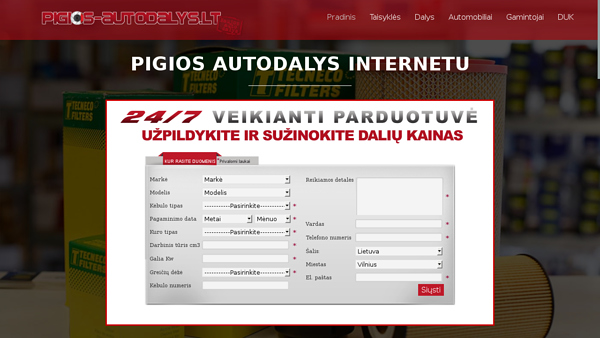 Autodalys internetu