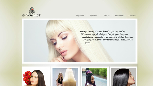 www.plaukuciai.lt