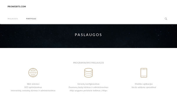 Programavimo paslaugos, svetainių kūrimas - prowebits