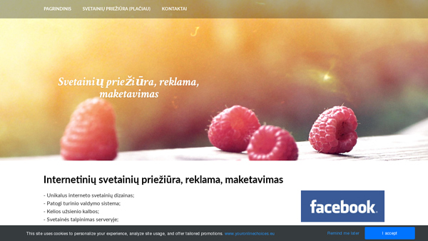 Maketavimas, svetainių priežiūra, reklama