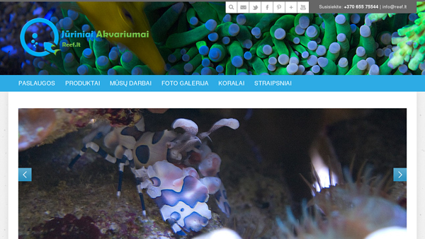 Reef.lt