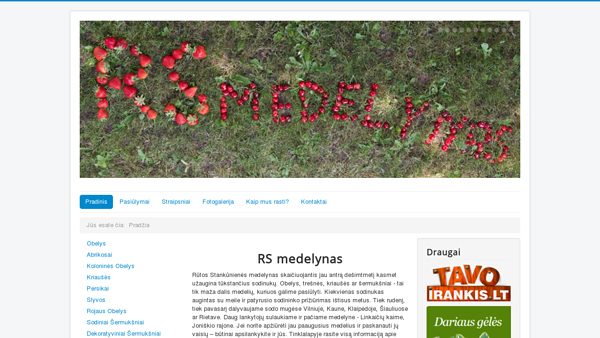 RS medelynas