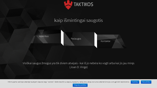 Verslo saugumo ekspertas