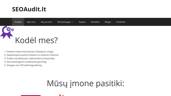 SEO Paslaugos