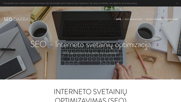 SEO optimizacija, SEO specialistas