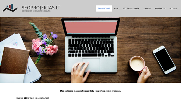 Seo paslaugos, seo optimizacija