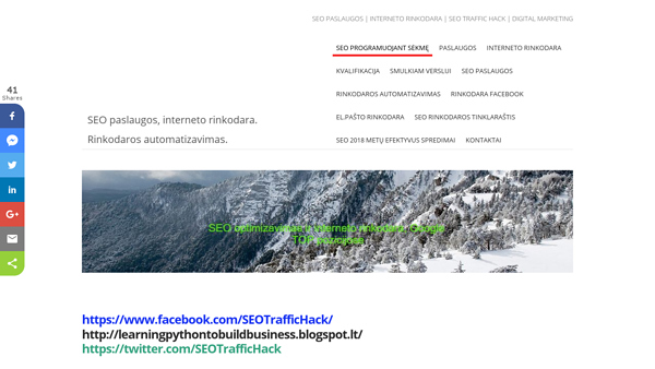 Skaitmeninė rinkodara. SEO paslaugos, rinkodaros automatizavimo programinė įranga.
