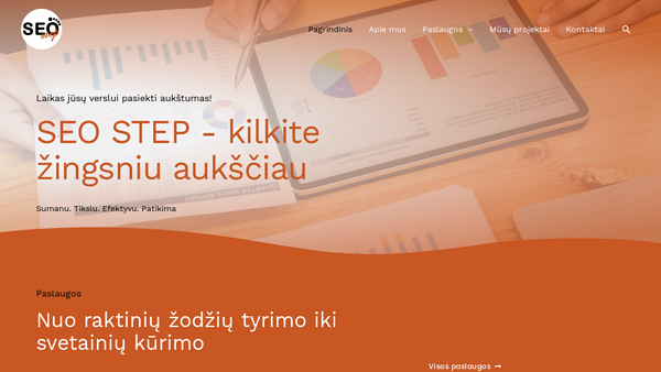 Internetinių svetainių kūrimas bei SEO optimizavimo paslaugos
