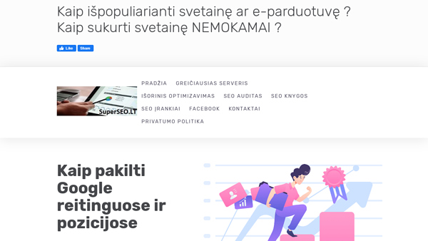 SEO Patarimai