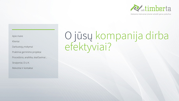 Lean mokymai, Lean sistema, verslo mokymai