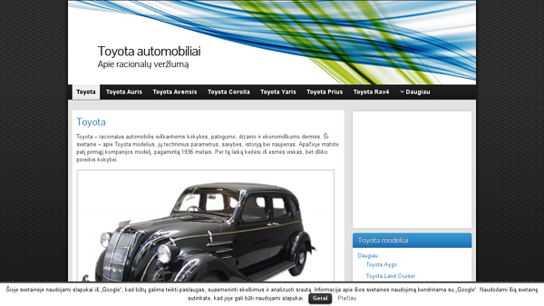 Toyota modeliai - apie racionalų veržlumą