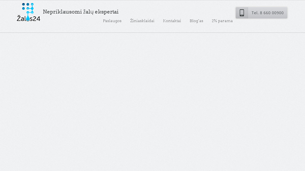 Nepriklausomi žalų ekspertai